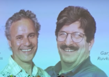 US Scientists Victor Ambros and Gary Ruvkun Awarded Nobel Prize in Medicine for MicroRNA Discovery